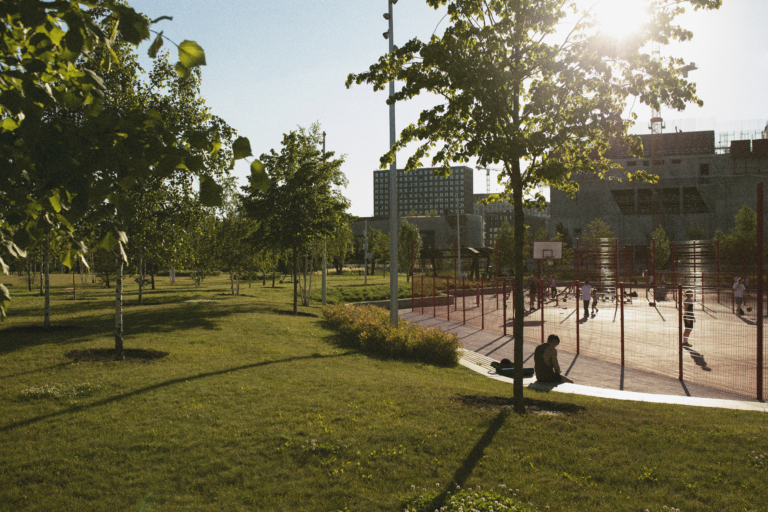 Landscaped Gardens
