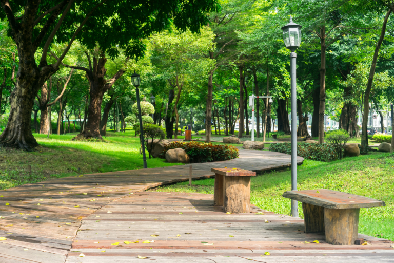 Sensory Garden