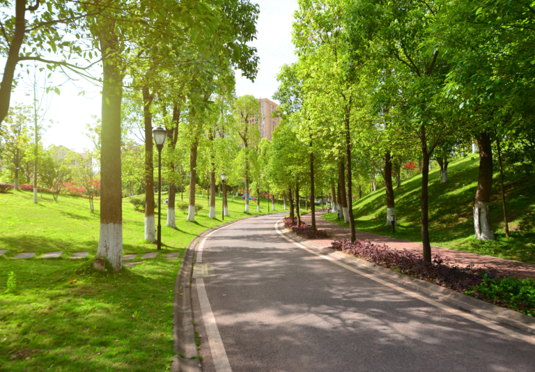 Wide, tree-lined internal roads 